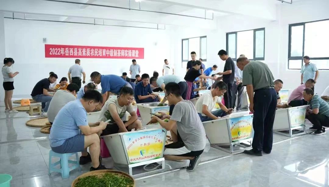 岳西县举办茶产业技能培训班.jpg