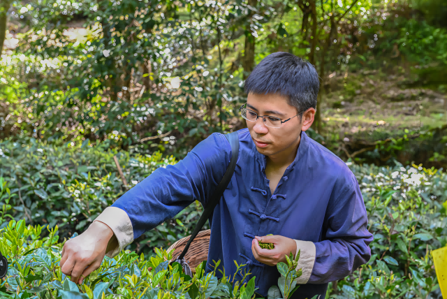 黄山六百里猴魁茶业股份有限公司总经理 凡涛(1).png