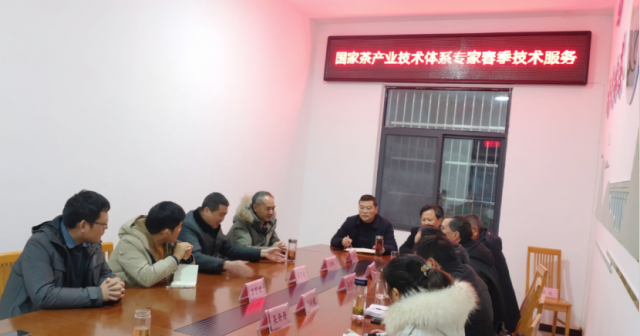 科技助农——国家茶产业技术体系专家赴安庆市开展春季技术服务2.png