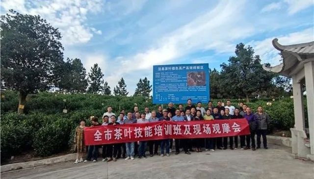 0009_结果.jpg